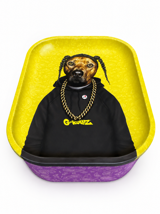 G-ROLLZ STORAGE BOX